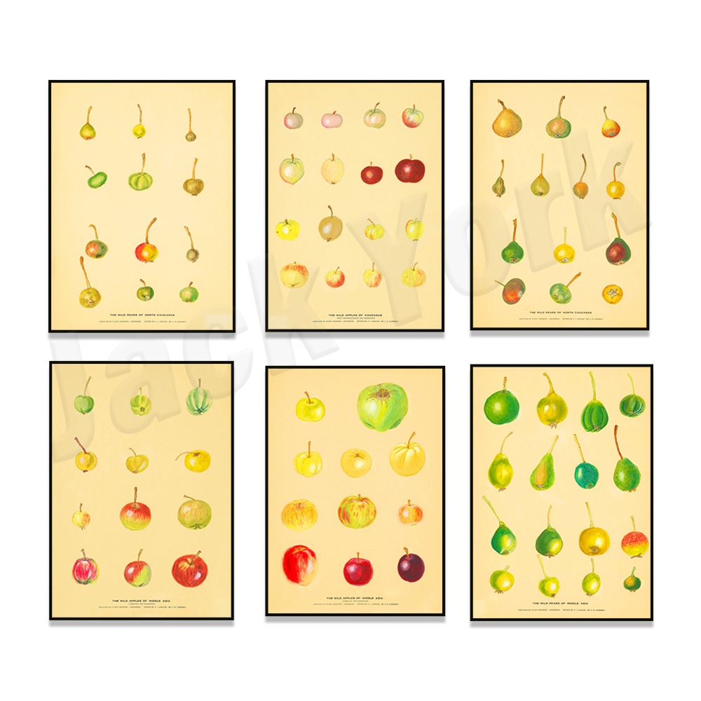 Poster da cucina di frutta Pos - Plant Jackfruit recensione e prezzo